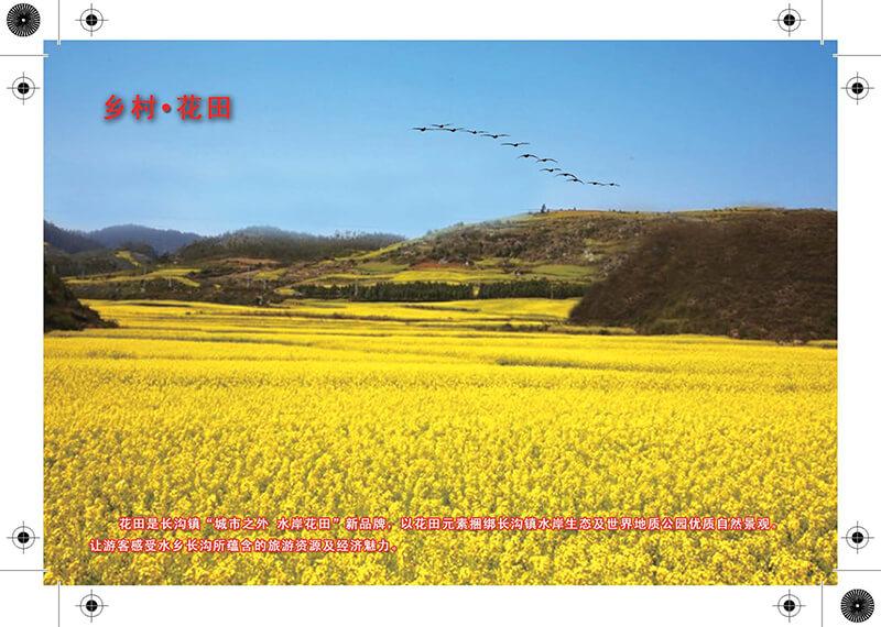 企業(yè)形象設計